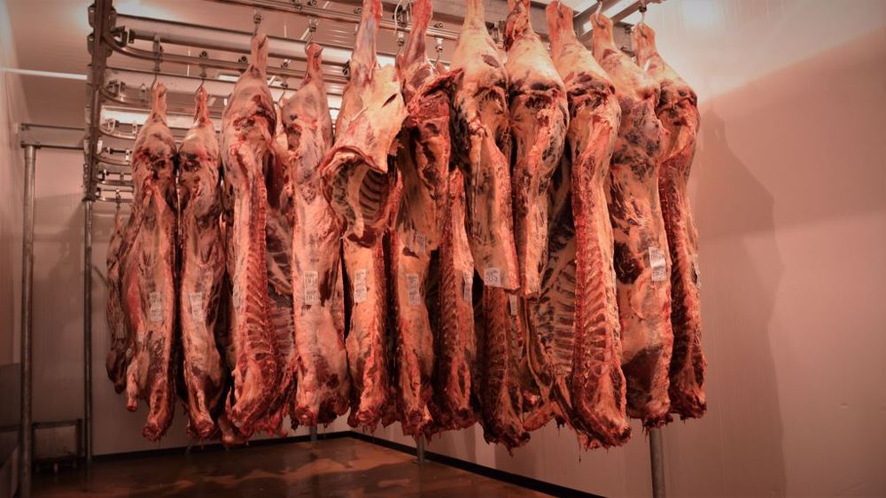 La viande bovine française débarque ce lundi, à 35,6 dinars/Kg