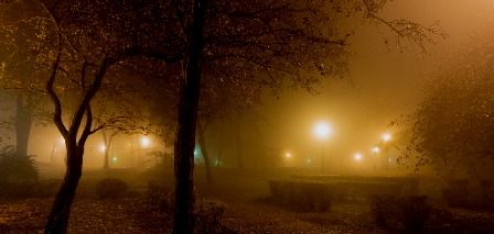 Tunisie – METEO : Brouillard en fin de nuit