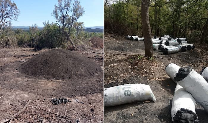 Ain Draham: Découverte de 20 “Marduma faham” pour la fabrication du charbon dans un parc national (Photos)