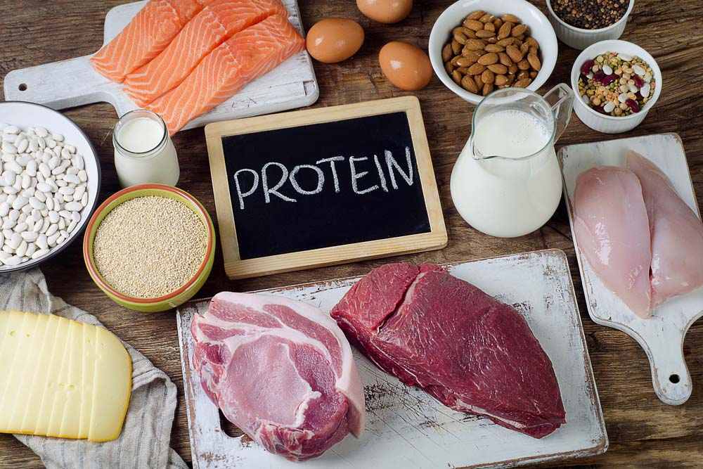 Is there a real role for protein in weight loss?