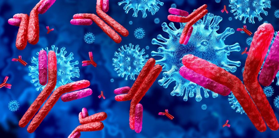 Santé : La révolution des anticorps par l’Intelligence Artificielle en biochimie