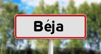 Tunisie: Le ministre du Tourisme en visite à Béja