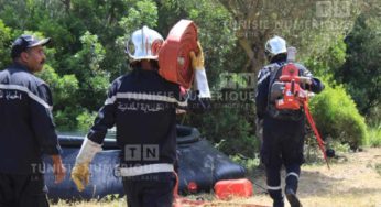 Un incendie à Béja ravage 100 oliviers