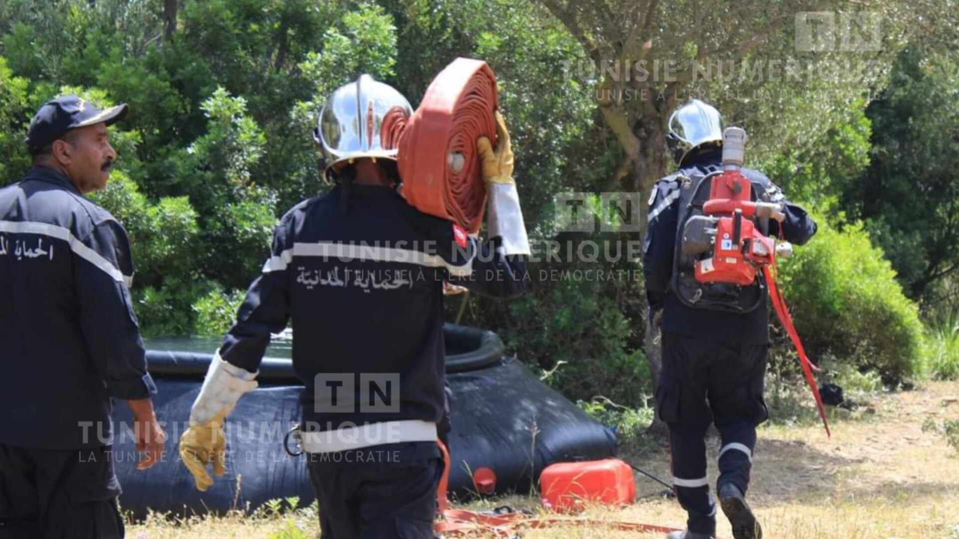 Un incendie à Béja ravage 100 oliviers