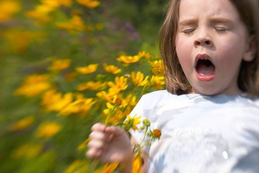 Santé : Lutter contre les allergies au pollen : stratégies et solutions