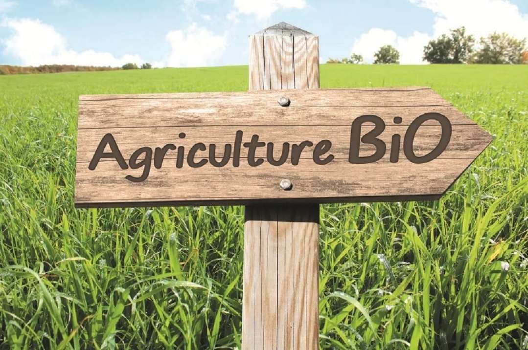 L’Agriculture biologique en Tunisie : Un secteur prometteur sous-exploité