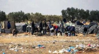 Tunisie – Les agriculteurs d’Al Amra empêchés d’accéder à leurs cultures squattées par les subsahariens