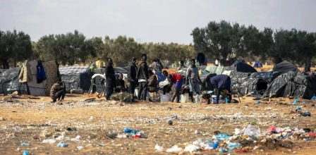 Tunisie – Les agriculteurs d’Al Amra empêchés d’accéder à leurs cultures squattées par les subsahariens