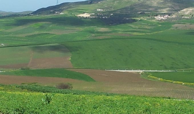 Béja : Les pouvoirs publics frappent fort, 135 hectares récupérés