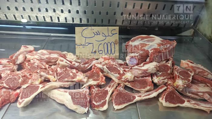Hausse de 25,5% des prix des viandes ovines en avril sur un an