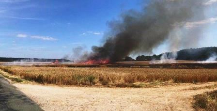 Tunisie – Ça commence, on dirait : Siliana : Un incendie dévaste trois hectares de blé