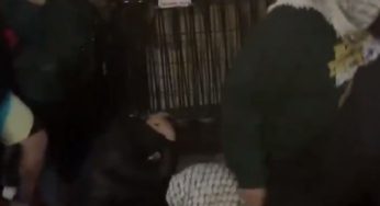 La répression s’intensifie dans les universités américaines avec 1700 arrestations