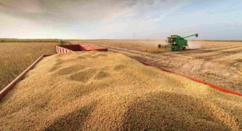 Algérie : Le pari sur le Sahara paye, 1 milliard de dollars de plus dans le blé
