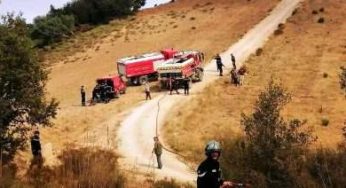 Tunisie – Des pompiers tunisiens interviennent sur le sol algérien pour lutter contre un feu de forêt