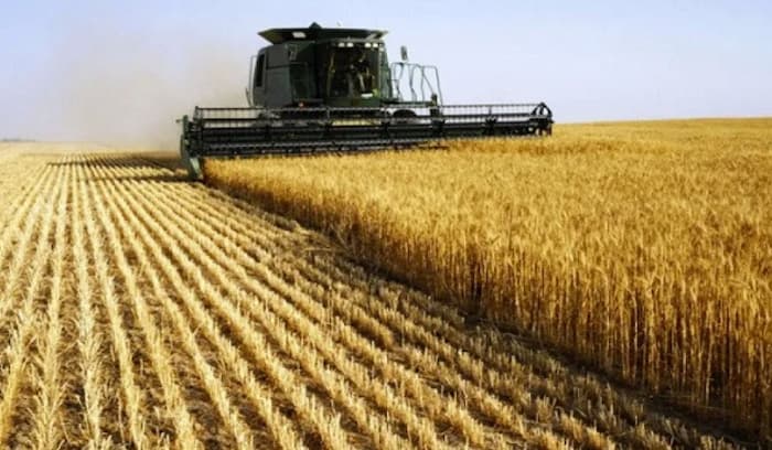 Crédits saisonniers de la céréaliculture: Bonne nouvelle pour les petits agriculteurs