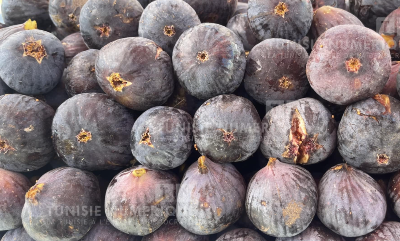 Béja: Démarrage de la 8e édition du Festival des Figues