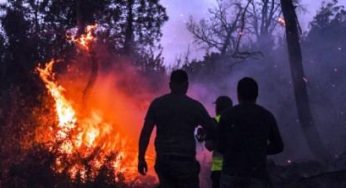 Tunisie – Tabarka : Une personne blessée dans un incendie de forêt