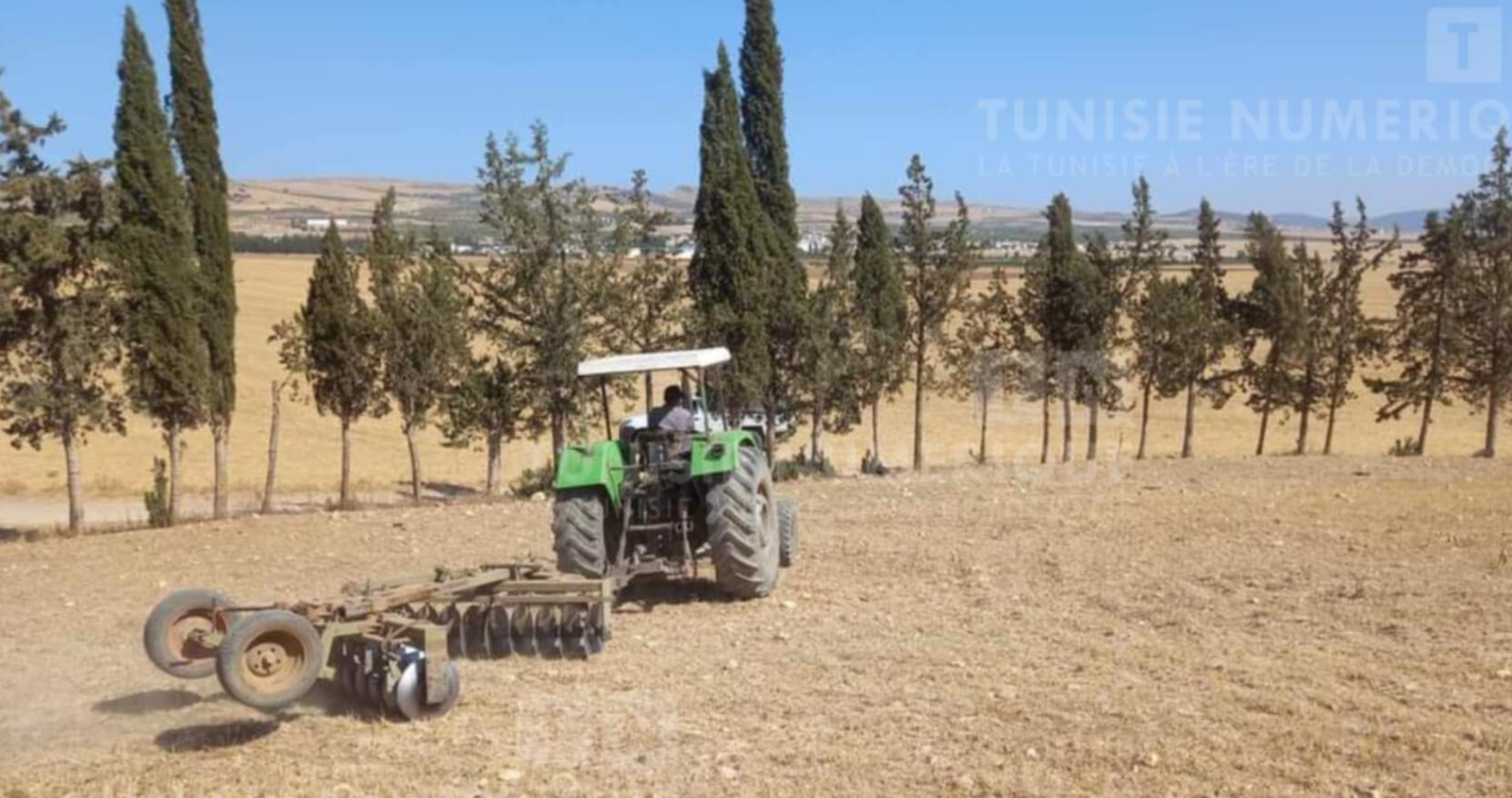 Béja: Récupération d’un terrain agricole à Téboursouk