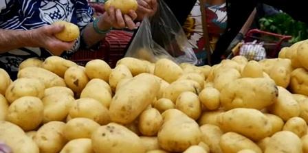 Tunisie – Le ministère du commerce fixe le prix plafond de vente des pommes de terre