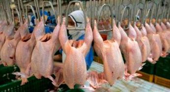 Tunisie – Des mesures prises pour améliorer l’offre et les prix des viandes blanches
