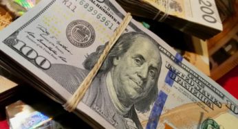 Transferts de la diaspora et recettes touristiques: Plus de 3,2 milliards de dinars au premier trimestre