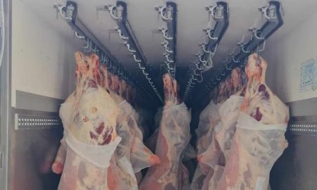 viande congelée