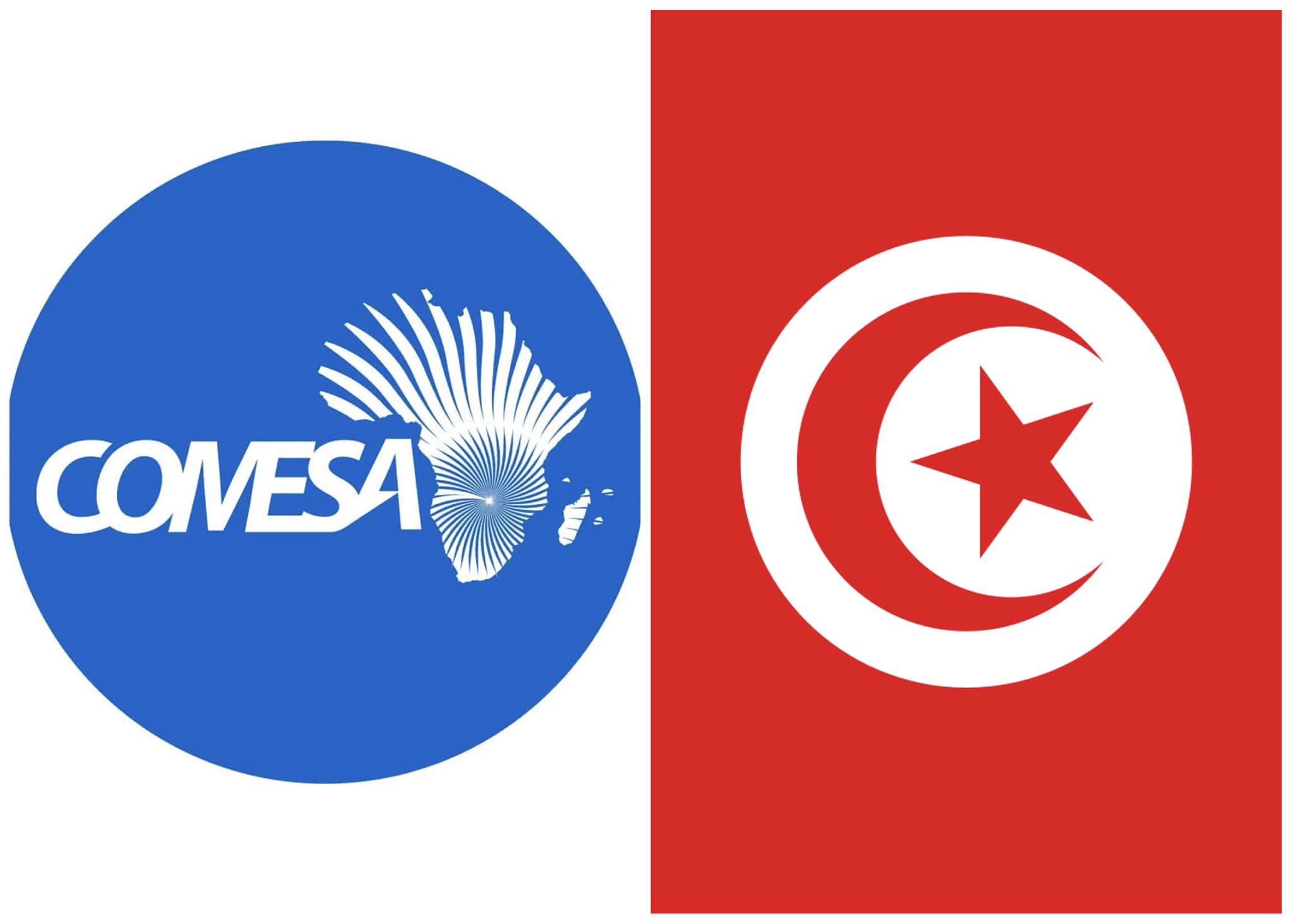 Le Chef de la diplomatie participe aux travaux du 23e Sommet de la COMESA