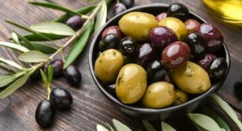 Grombalia: Avancement de la récolte des olives à 56 % [Vidéo]