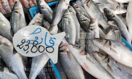 prix au marché de Kairouan (1) le 1er octobre