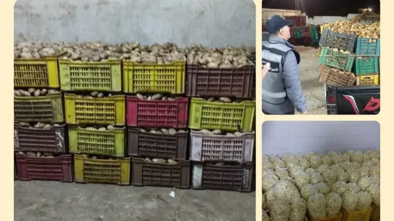 Bizerte : 2,2 tonnes de pommes de terre planquées dans un entrepôt clandestin