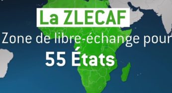 L’Algérie rejoint la Zone de libre-échange africaine : Des possibilités infinies pour la production et l’industrie algériennes