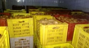 Tunisie – Nabeul : Saisie de près de trois tonnes de pommes de terre
