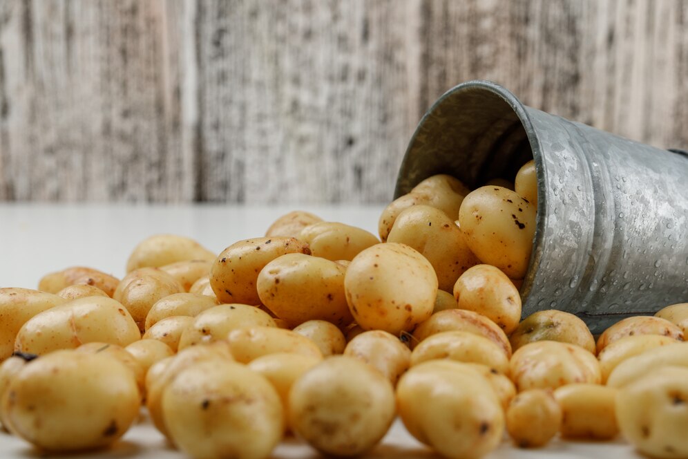 Retour des pommes de terre importées via le port de Sousse vers la Turquie