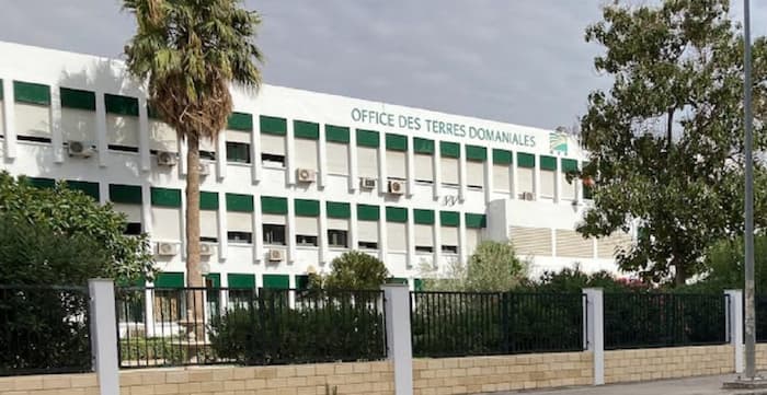 Le PDG de l’Office des terres domaniales (OTD) démis de ses fonctions