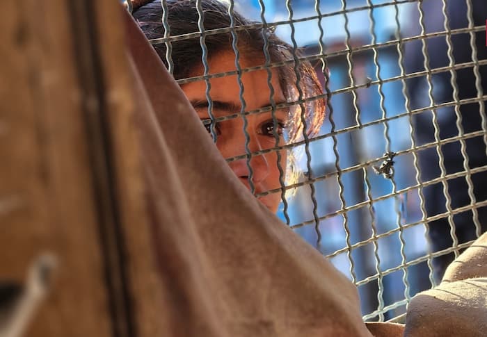 UNRWA: Un enfant est tué chaque heure à GAZA