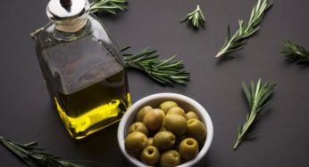 Fierté nationale: L’huile d’olive “Toukaber” couronnée de la médaille d’or pour le meilleur huile bio au monde