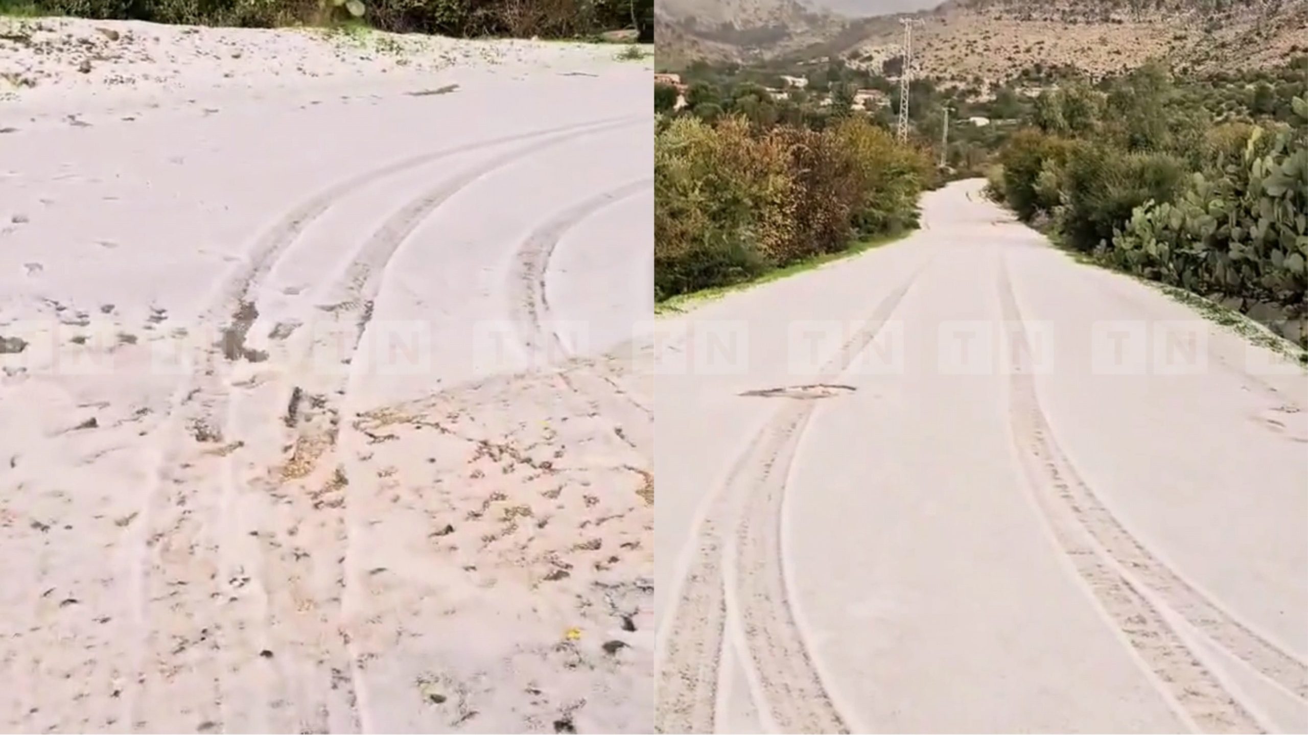 Neige: Manteau blanc sur les hauteurs de Jendouba