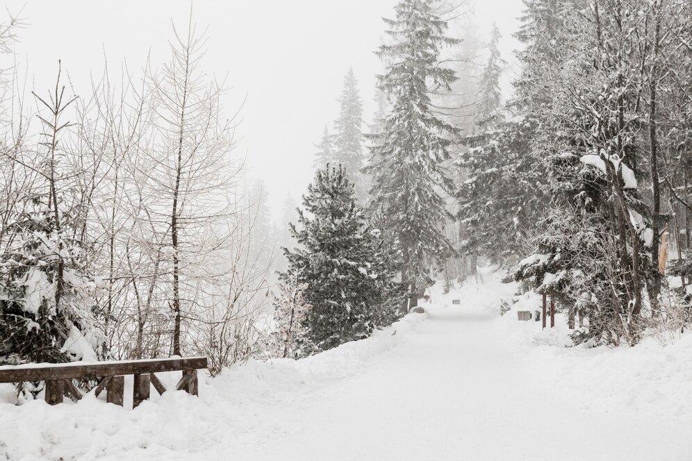 Jusqu’à 20 cm de neige au Canada: Fortes intempéries en cours