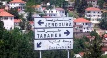 Tunisie – Jendouba : Affectation de lots de terres domaniales pour des logements sociaux et projets publics