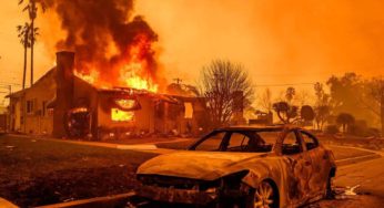 Los Angeles : Les feux «les plus dévastateurs» de l’histoire de la Californie, 10 morts au moins, les animaux de compagnie sacrifiés