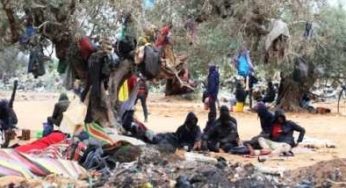 Tunisie – La Garde Nationale révèle le nombre de subsahariens irréguliers dans la région de Sfax en Tunisie