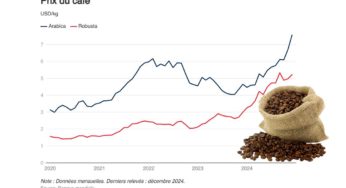 Flambée des prix du café: Montée vertigineuse en 2024 et projections pour 2025