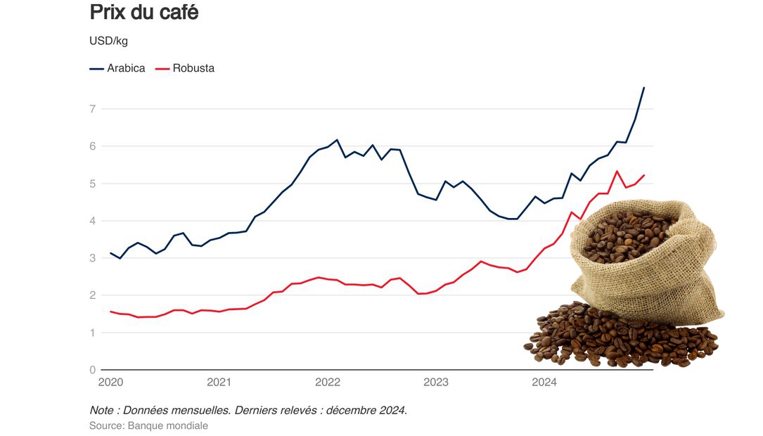 Flambée des prix du café: Montée vertigineuse en 2024 et projections pour 2025
