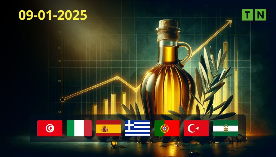 Découvrez le cours mondial de l’huile d’olive à l’exportation
