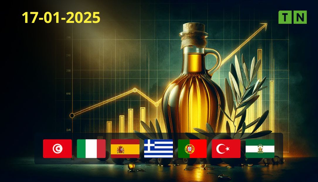 Découvrez le cours mondial de l’huile d’olive à l’exportation