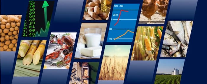 FAO: En 2024, l’indice des prix des produits alimentaires est resté globalement inférieur aux niveaux de 2023
