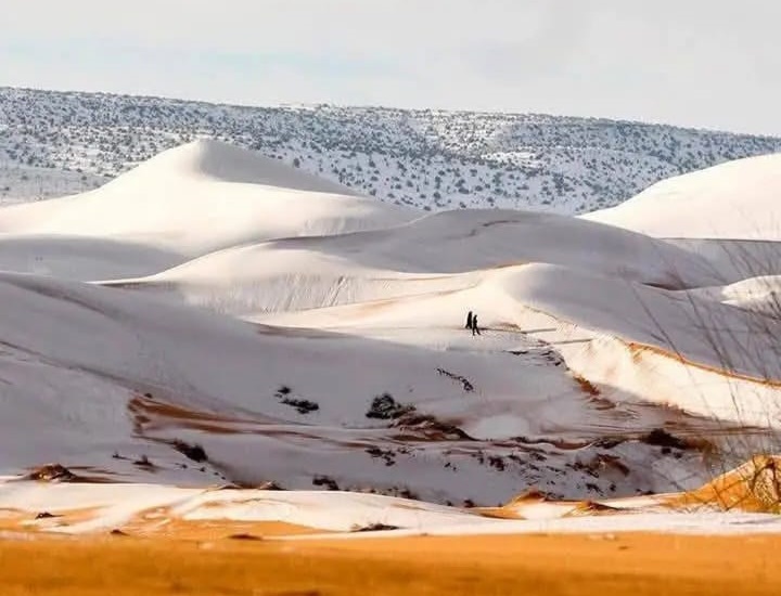 Quand la neige embrasse les dunes : un spectacle rare dans le désert algérien