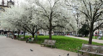 Météo-France : Jusqu’à 23°C dès cette semaine et 30 départements en alerte rouge au pollen, déjà