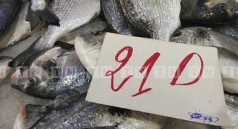 Nabeul: Prix au marché de Grombalia [Vidéo]