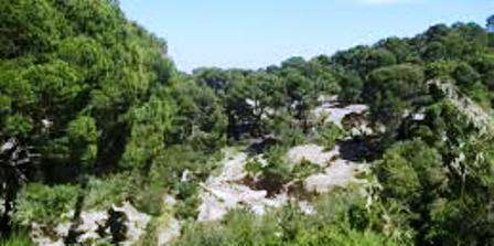 Tunisie – Kasserine : Disparition d’un enfant de 4 ans dans les montagnes